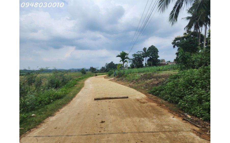 BÁN ĐẤT TẠI THÔN MINH THẮNG, XÃ MINH SƠN, HUYỆN NGỌC LẶC, TỈNH THANH HÓA